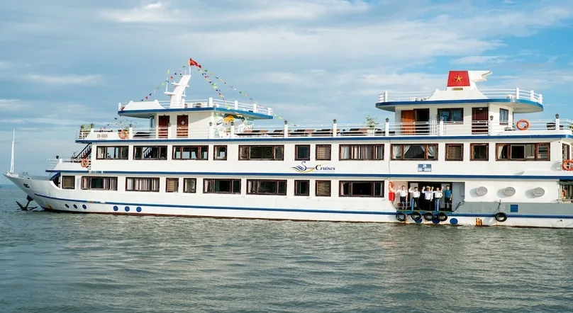 Swan Cruise 2 days/ 1 night gallery