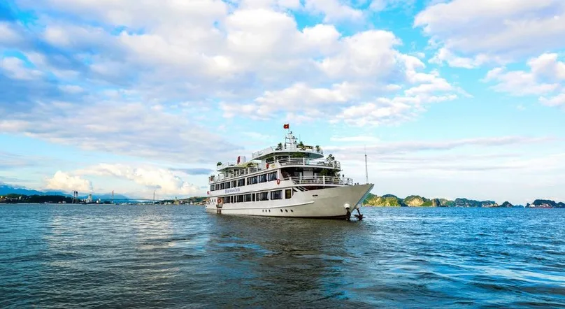 Swan Cruise 2 days/ 1 night onboard