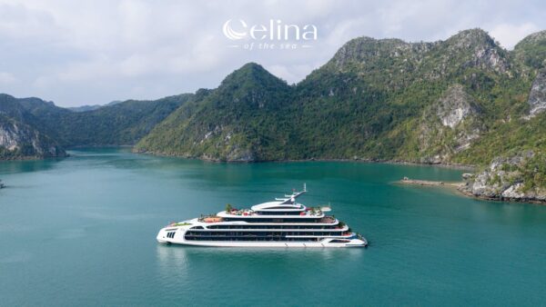 Celina Cruise