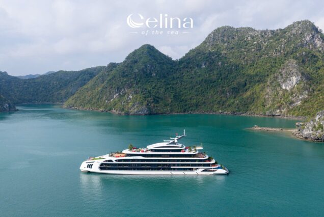Celina Cruise