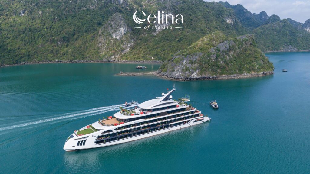 Celina Cruise 2 days/ 1 night onboard
