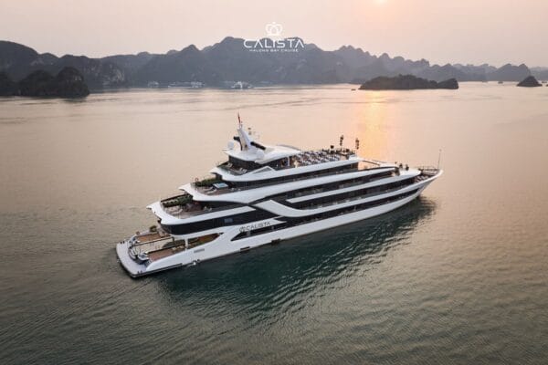 Calista Cruise