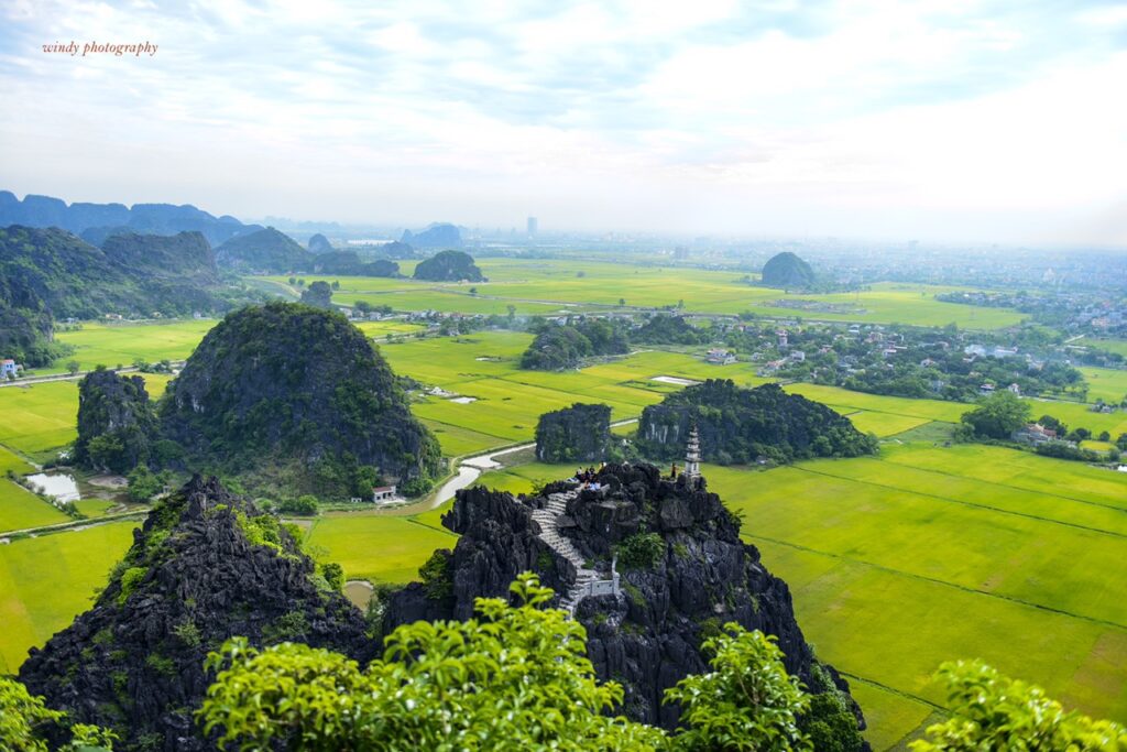 Ninh Binh Discovery Day – Nature, Culture & Scenic Boat Journey