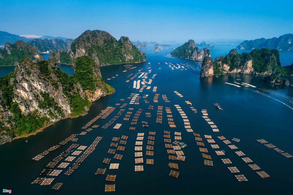 Aerial view of Bai Tu Long Bay oyster farms and limestone karsts Halong Bay