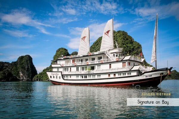 Signature Cruise