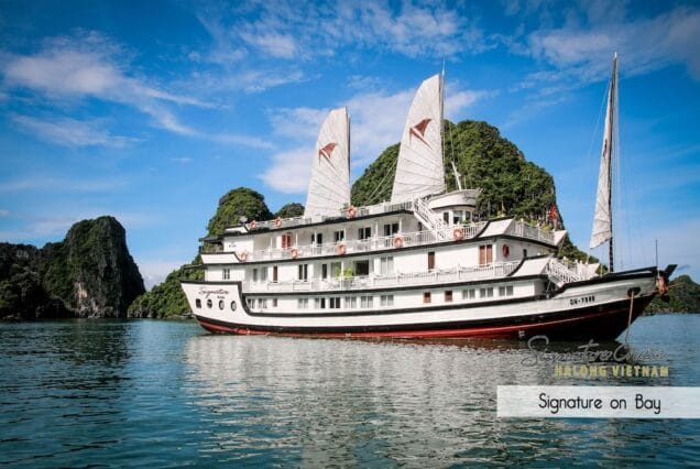 Signature Cruise
