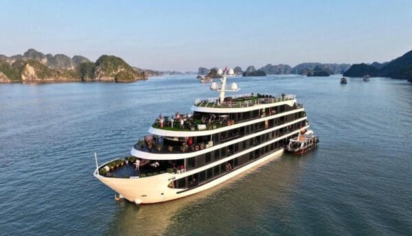 Venus Cruise