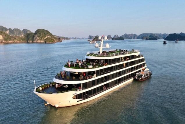 Venus Cruise