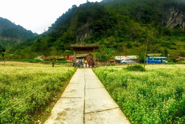 Fields in the Sung La valley, Dong Van