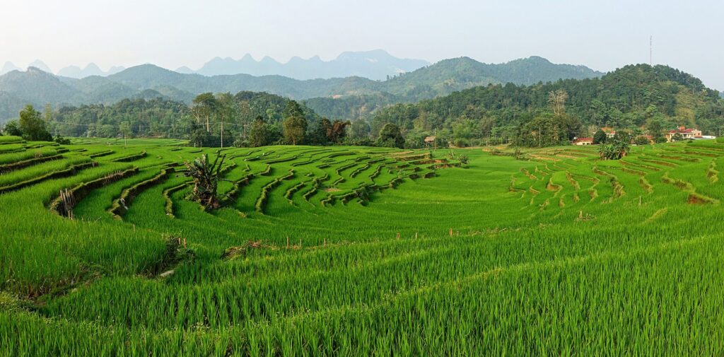 Ha Giang Loop 4 Days Slow Route with Du Gia and Easy Rider