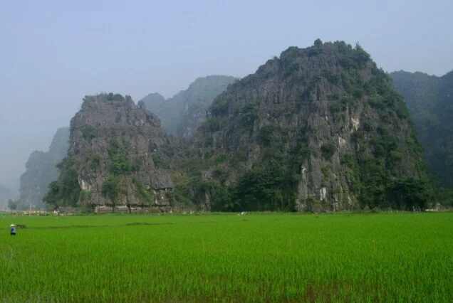 Green rice fields below the karst near Bich Dong