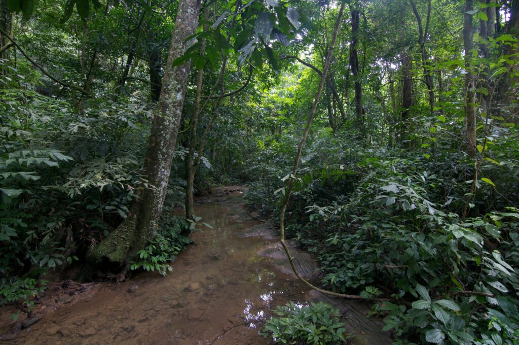 Cuc Phuong National Park Private Day Tour from Hanoi gallery