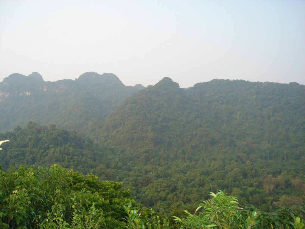 Cuc Phuong National Park Day Trip from Hanoi onboard