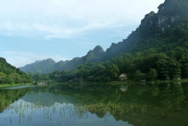 Lake and forest in Cuc Phuong National Park