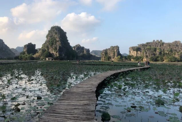 Boardwalk across the lotus pond at Hang Mua