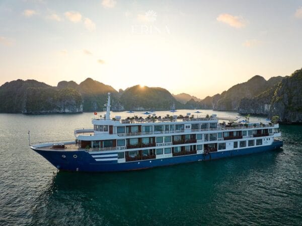 Erina Cruise