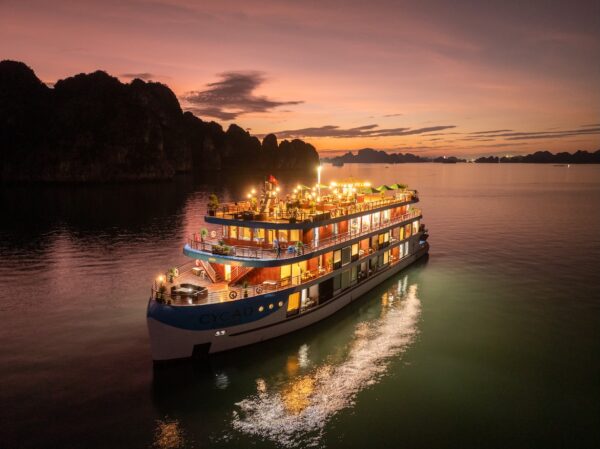 Cycad Cruise
