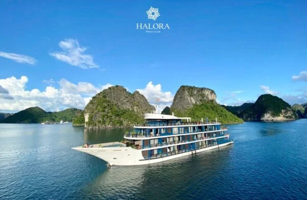 Metta Cruise