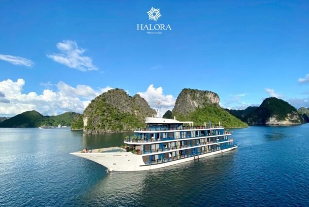 Metta Cruise