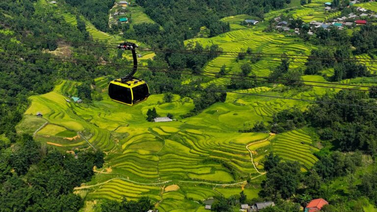 Sapa