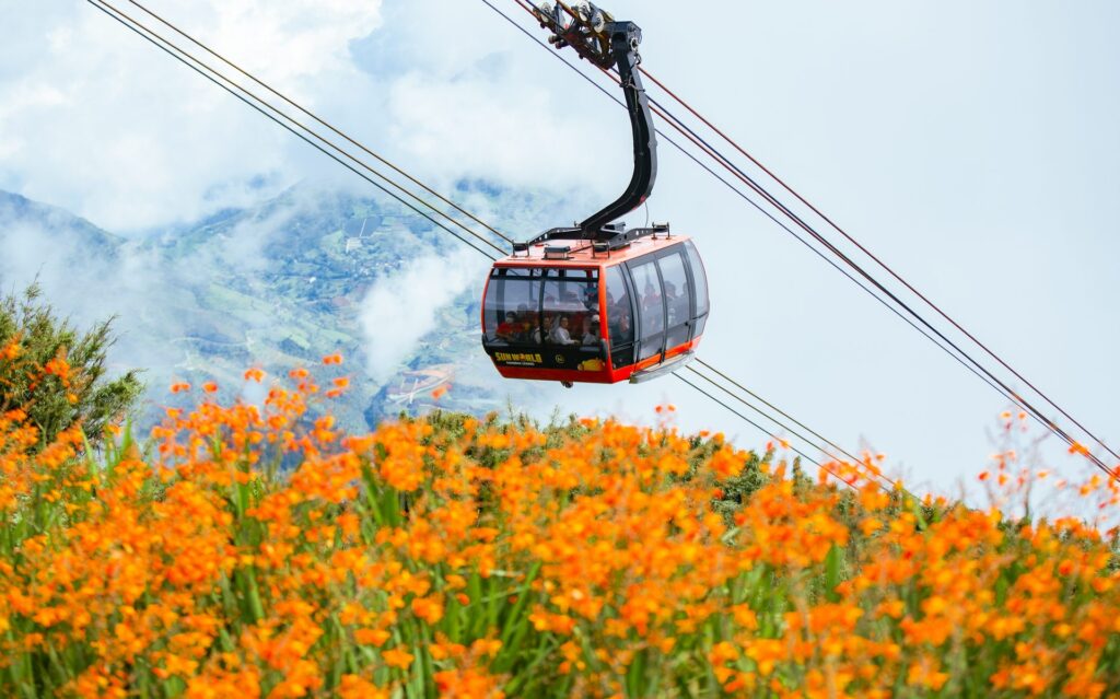 Sapa in One Day: Rice Terraces and Fansipan Cable Car