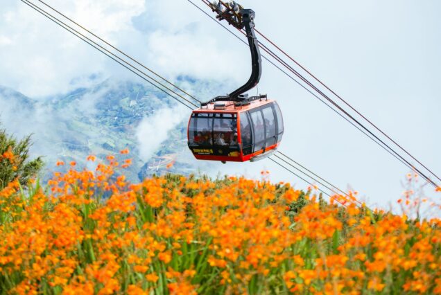 The Fansipan cable car above the valleys near Sapa