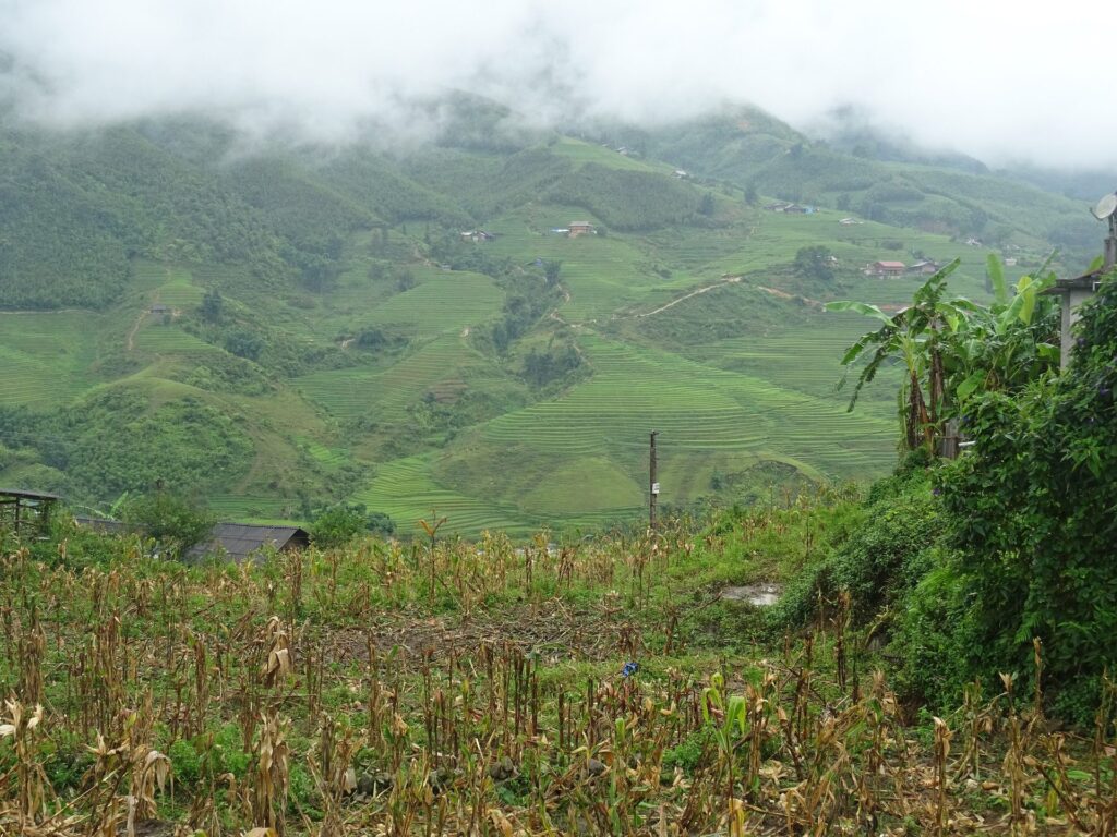Sapa 2 Days: Ridge Trail and Muong Hoa Valley onboard
