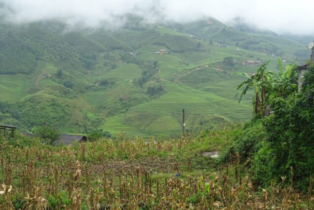 Rice terraces and hillside houses at Hau Thao village above the Muong Hoa Valley