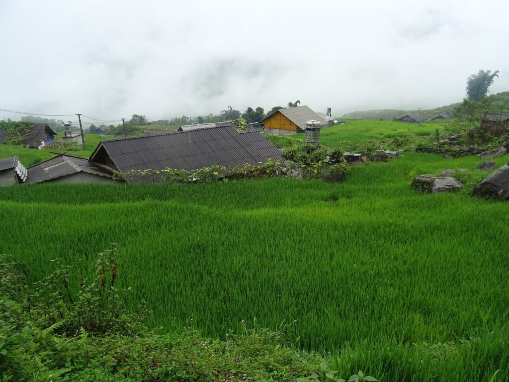 Sapa Day Trek: Ridge Views and Hill Villages