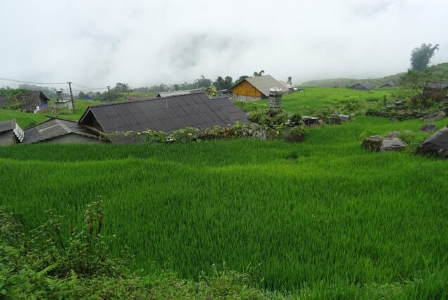 Rice terraces and hillside houses at Hau Thao village above the Muong Hoa Valley