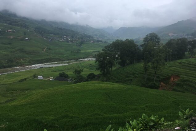 Rice terraces and hillside houses at Hau Thao village above the Muong Hoa Valley