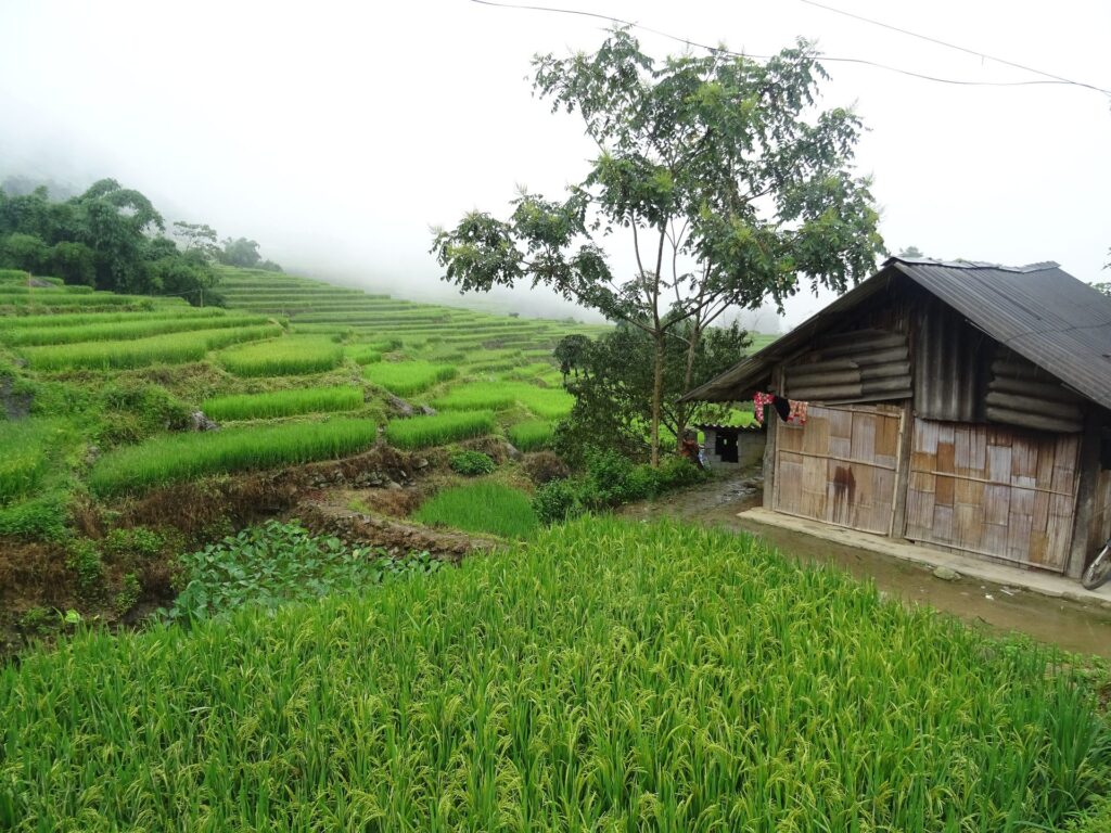 Sapa 2 Days: Ridge Trail and Muong Hoa Valley