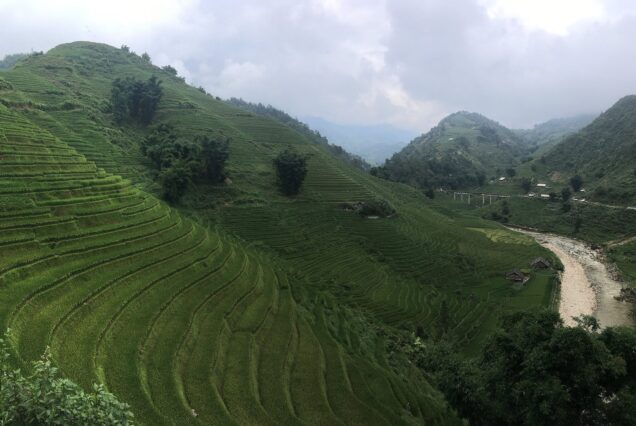 Rice terraces and the valley floor at Lao Chai village, Sapa