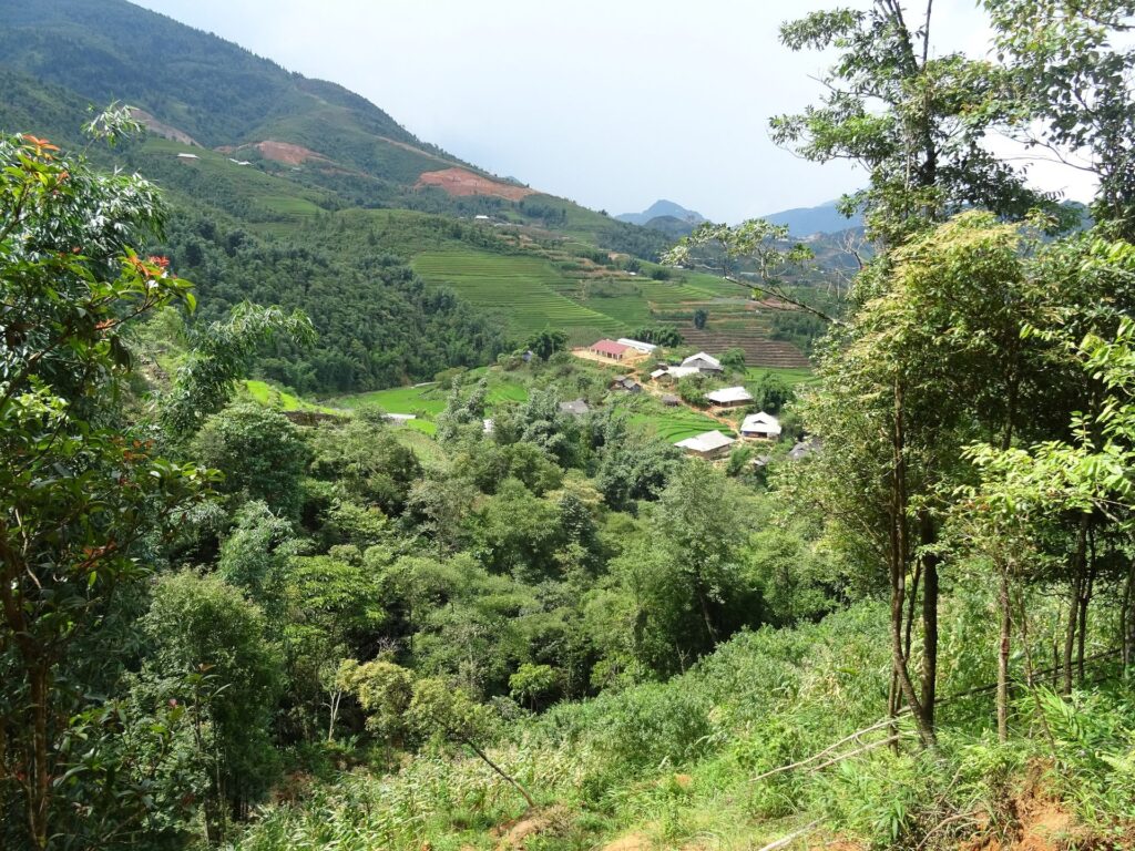 Sapa Easy Day Walk: Rice Paddies and Red Dao Villages