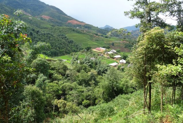 Rice fields and stream at Ma Tra village, Sapa