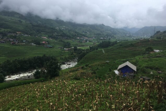 Rice terraces of the Muong Hoa Valley, Sapa
