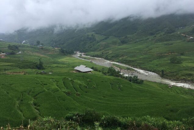 Rice terraces of the Muong Hoa Valley, Sapa