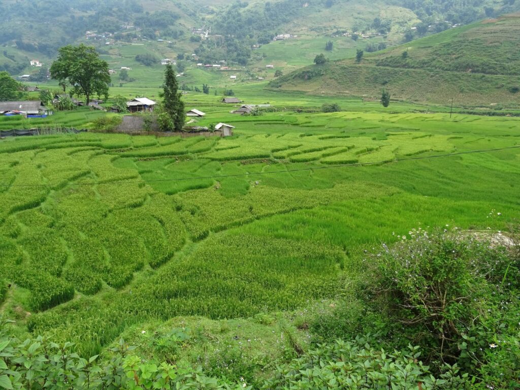 Sapa 4 Days: Terraces, Ridges and Waterfalls