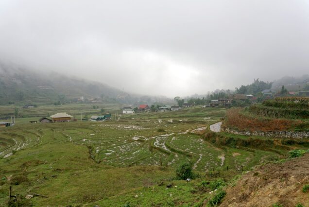 Green rice terraces around Ta Van village in the Muong Hoa Valley, Sapa
