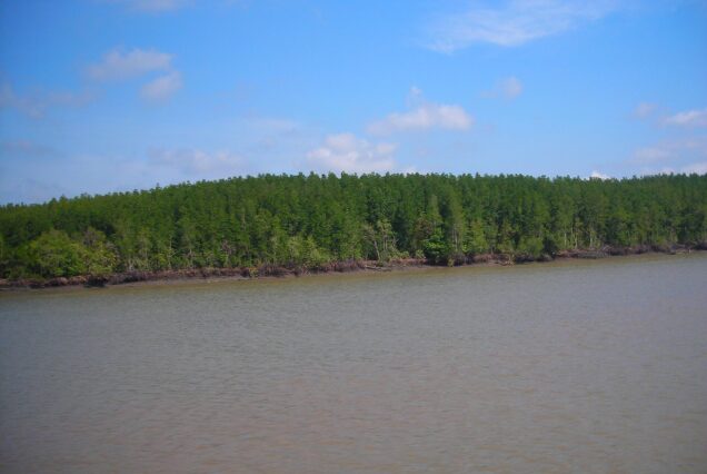 Can Gio Biosphere Reserve