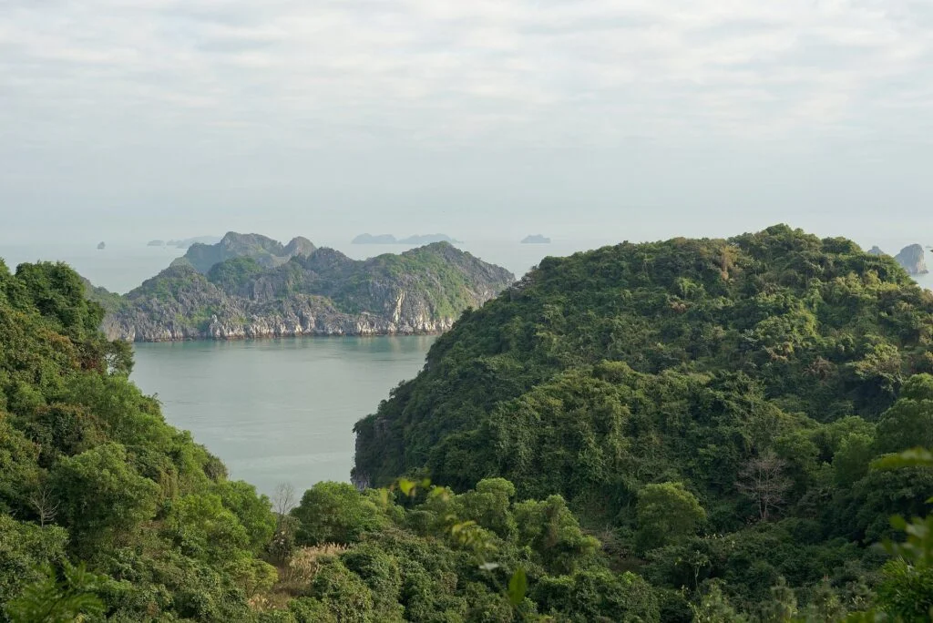 Halong Bay Day Trip by Boat from Hanoi onboard