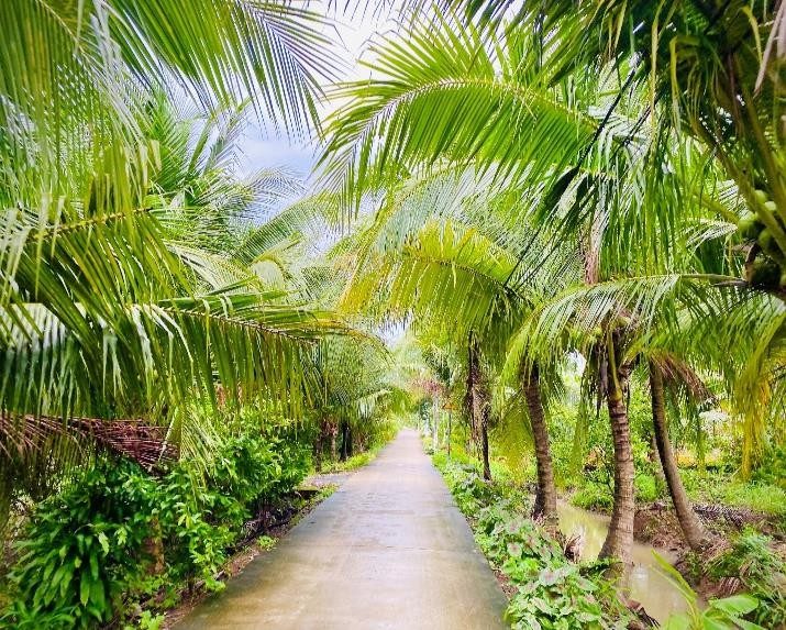 Ben Tre Private Day Tour: Coconut Villages, Sampan, Bicycle and Riverside Lunch gallery