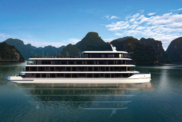 Cycad Grand Cruise