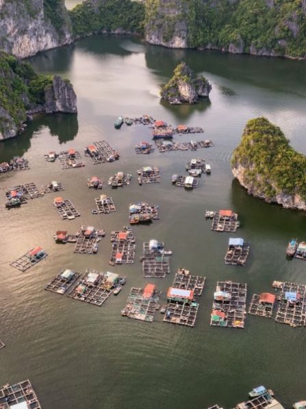 imgi_56_Shutterstock_2183054001-min